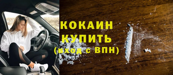 прущая мука Каменка