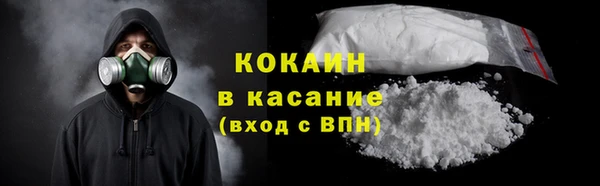 прущая мука Каменка