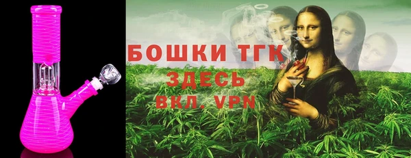 сатива Каменск-Шахтинский