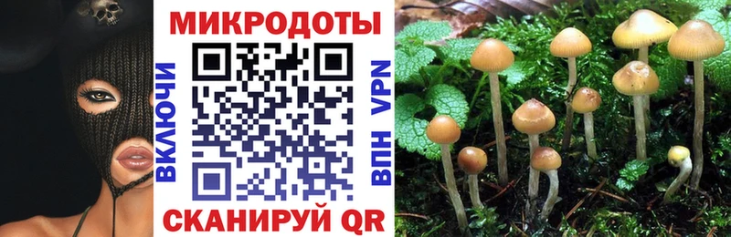 Галлюциногенные грибы Cubensis Купить закладки Серпухов